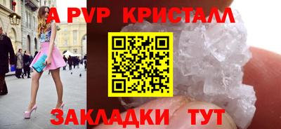 спайс Тара