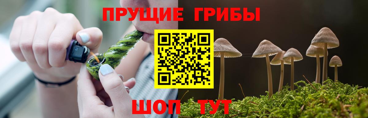 Галлюциногенные грибы Cubensis  Вход с VPN  Орехово-Зуево 